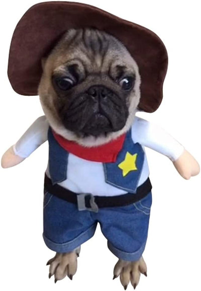 Funny Cute Cowboy Pet Costume