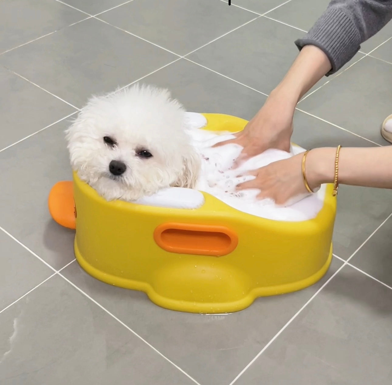 Pet Rubber Duck Bathtub Pod