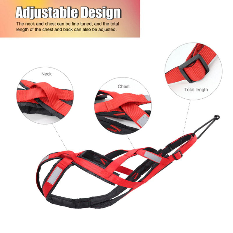 Dog Adjustable Chest Support Harness