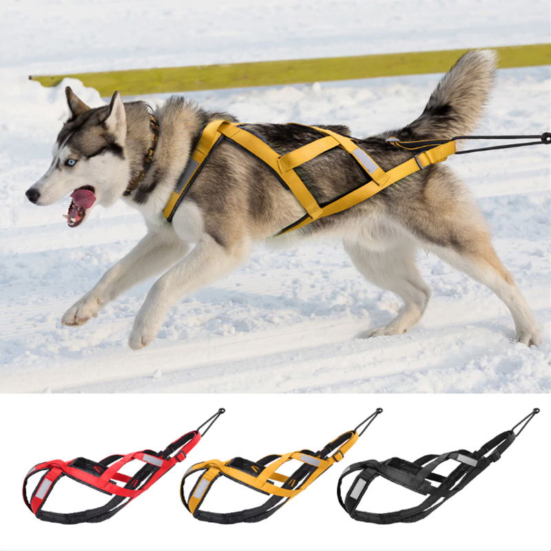 Dog Adjustable Chest Support Harness