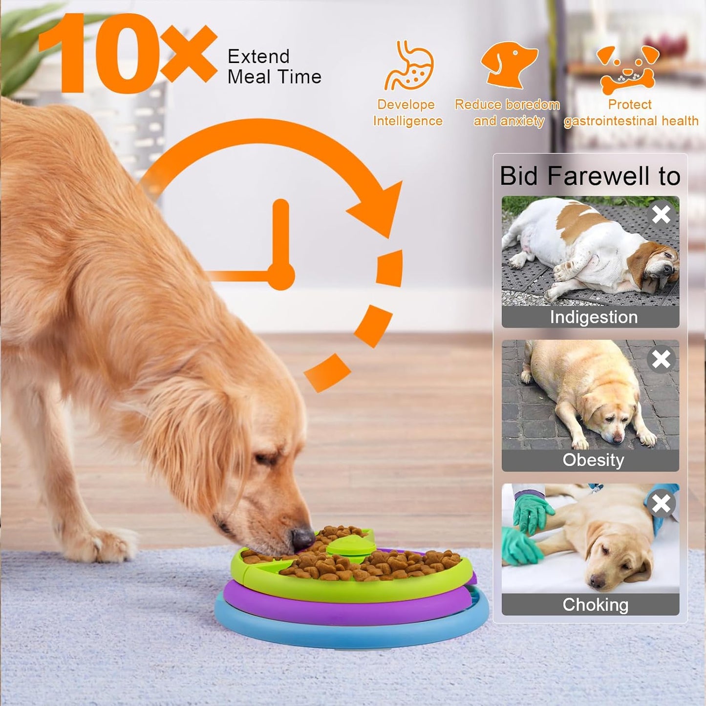 Dog Slow Feeder 3 Level Puzzle