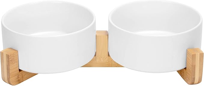 Ceramic Cat Food & Water Bowl Set