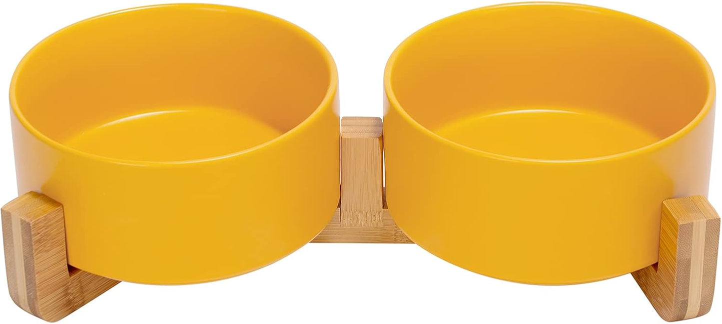 Ceramic Cat Food & Water Bowl Set