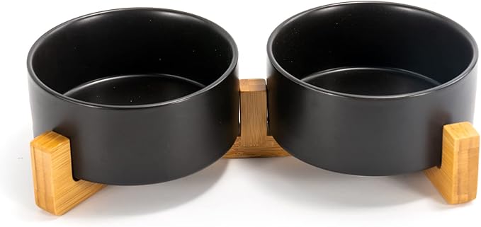 Ceramic Cat Food & Water Bowl Set