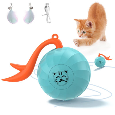 Cat Active Rolling Ball With LED Lights