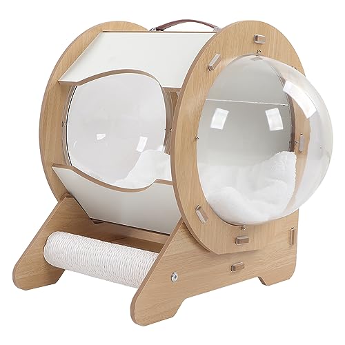 Cat Transparent Space Capsule Bed