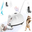 Cat Self Rotating Light Up Mouse Toy
