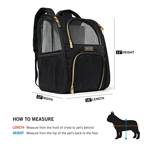 Pet Collapsible Portable Travel Bag