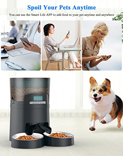 Automatic WiFi Smart 2 Cat Feeder Pet Dispenser