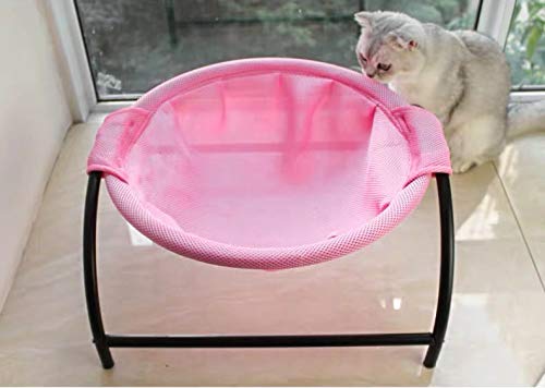 Cat Free-Standing Elevated Hammock Bed