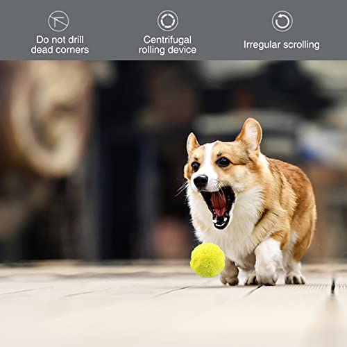 Dog Active Automatic Rolling Ball