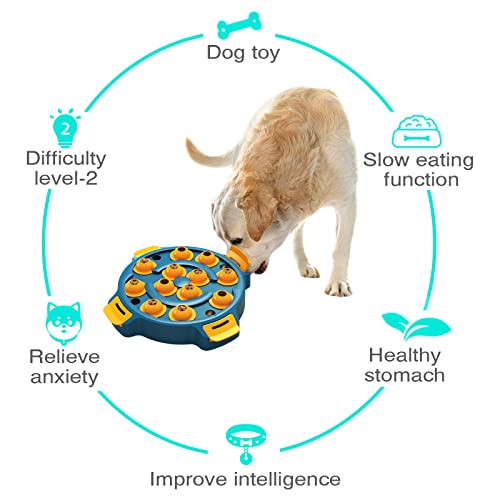 Dog Interactive IQ Training Treat Dispensing Toy