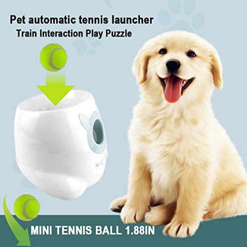 Automatic Dog Ball Launcher Machine