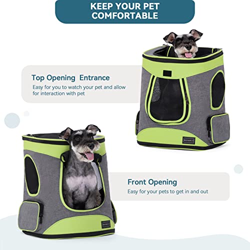 Cat & Dog Easy-Fit Travel Backpack Carrier