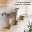 Wall Mounted Hexagon Cat House With Climbing Steps