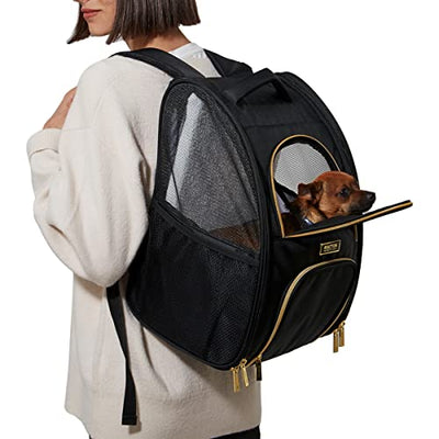 Pet Collapsible Portable Travel Bag