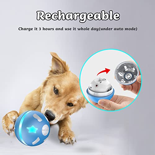 Interactive Wicked Dog Ball Toy