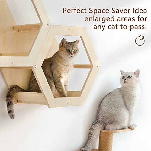 Wall Mounted Hexagon Cat House With Climbing Steps