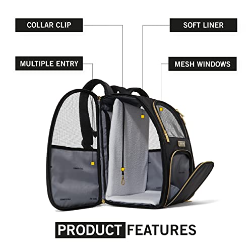 Pet Collapsible Portable Travel Bag