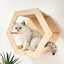 Wall Mounted Hexagon Cat House With Climbing Steps