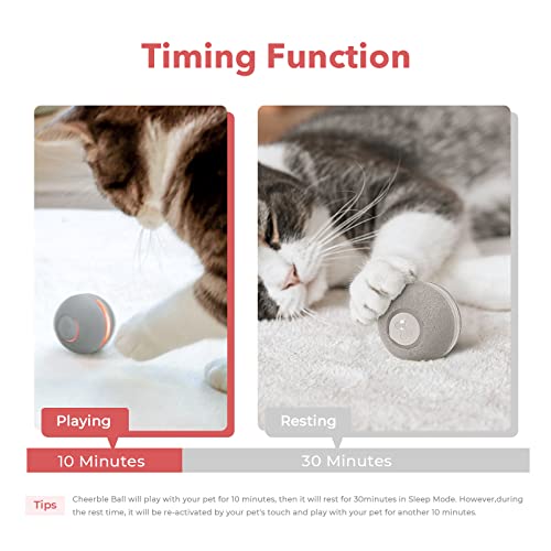 Smart Interactive Light Up Cat Ball