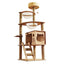 Cat Wooden Climbing Tower With Space Capsule