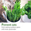 4oz Cat Oat & Barley Seeds Mix - 100% Non-GMO Refill Grass Growing Kit