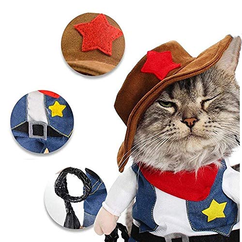 Funny Cute Cowboy Pet Costume