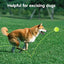 12 Pack Mini Tennis Training Balls Fits For Dog Ball Launchers