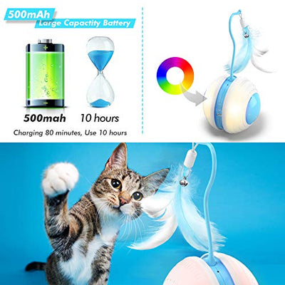 Cat Interactive Ball Toy With Bird Sounds & LED Lights
