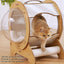 Cat Transparent Space Capsule Bed