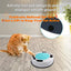Electronic Cat Scratching Pad With Interactive Mice Toy