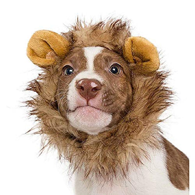 Lion Mane Cute Pet Costume