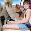 Dog Waterproof Car Seat Cover