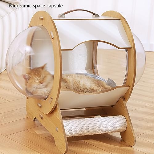 Cat Transparent Space Capsule Bed