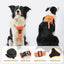 All-In-One Retractable No Pull Dog Harness