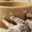 Cat Sisal Rope Bed & Scratcher