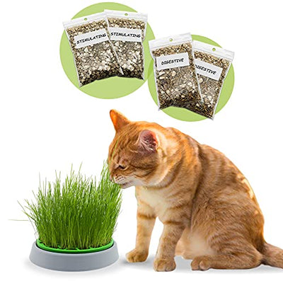 Double Catnip Seeds Kit Germinating Pot  4 sachets of Seeds & Substrate