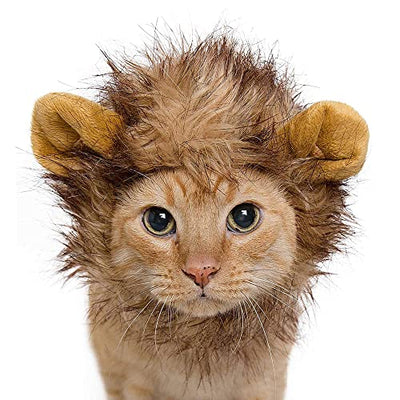 Lion Mane Cute Pet Costume