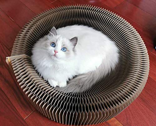 Cat Collapsible Scratcher Lounge Bed