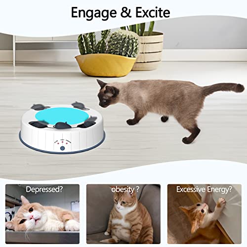 Automatic Interactive Cat Scratch Pad Toy