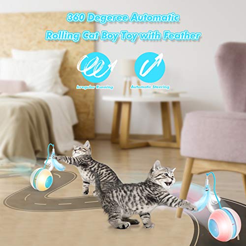 Cat Interactive Ball Toy With Bird Sounds & LED Lights