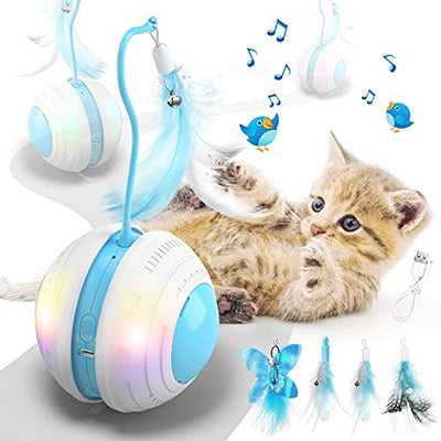Cat Interactive Ball Toy With Bird Sounds & LED Lights