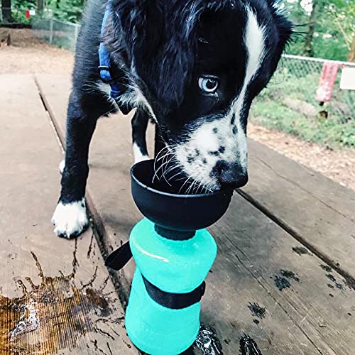 Pet Foldable Leakproof Dog Water Bottle