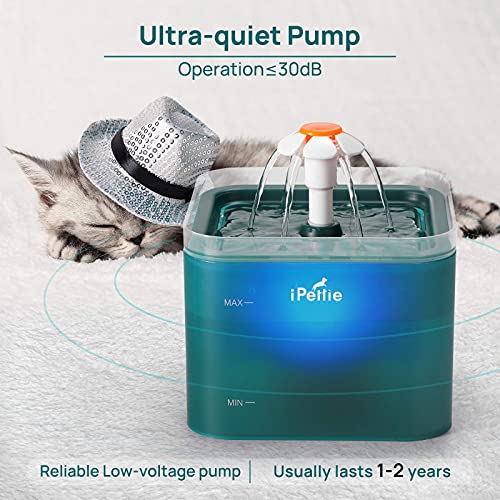 Cat Ultra Quiet 67oz/2.0L Water Fountain With LED Lights