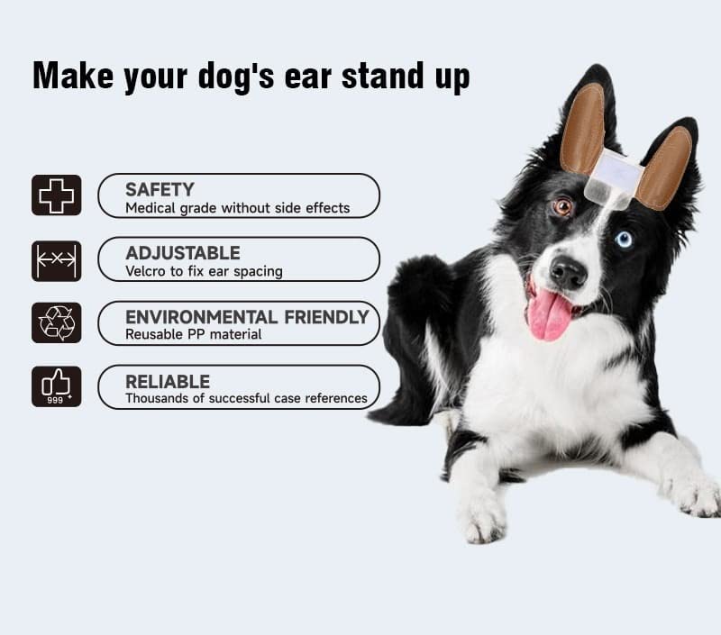 Dog Ear Stand Up Correction Tool Kit