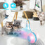 Cat Interactive Ball Toy With Bird Sounds & LED Lights