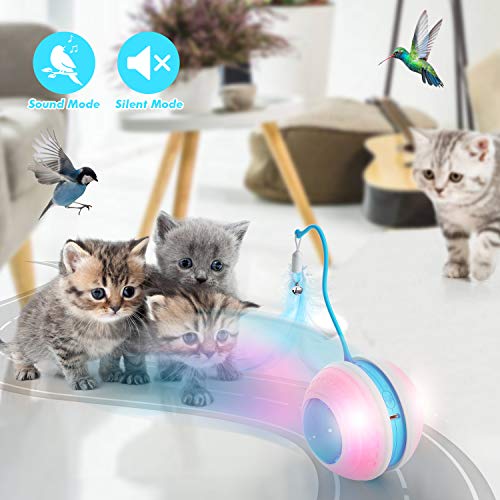 Cat Interactive Ball Toy With Bird Sounds & LED Lights