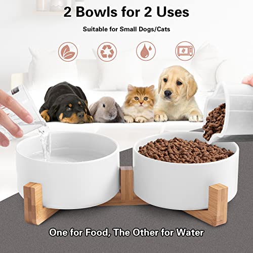 Ceramic Cat Food & Water Bowl Set