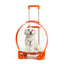 Transparent Cat Rolling Trolley Carrier On Wheels